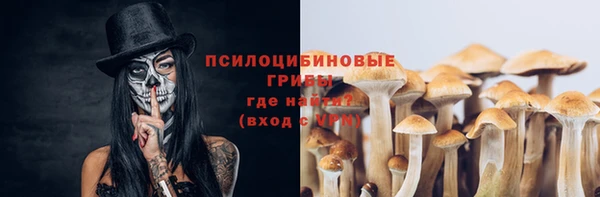 спиды Аркадак