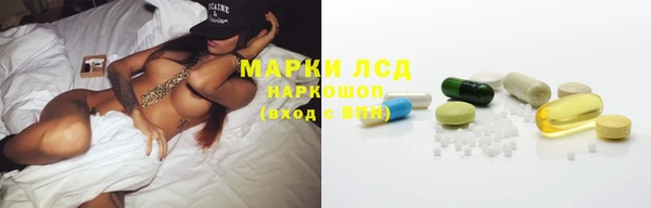 прущие грибы Армянск