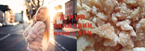 прущие грибы Армянск