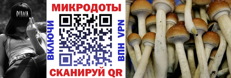 Псилоцибиновые грибы GOLDEN TEACHER  как найти закладки  Лакинск 